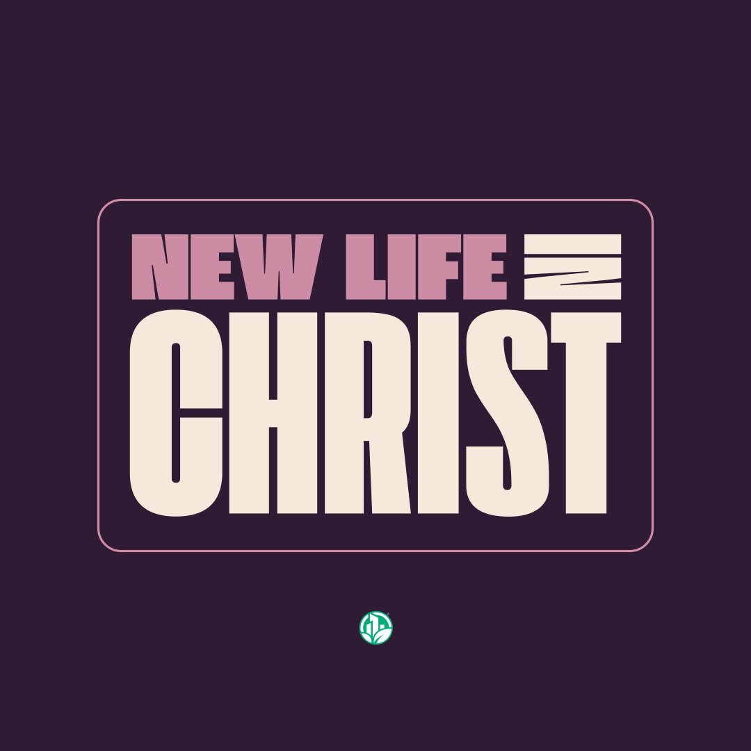 Vine City Church