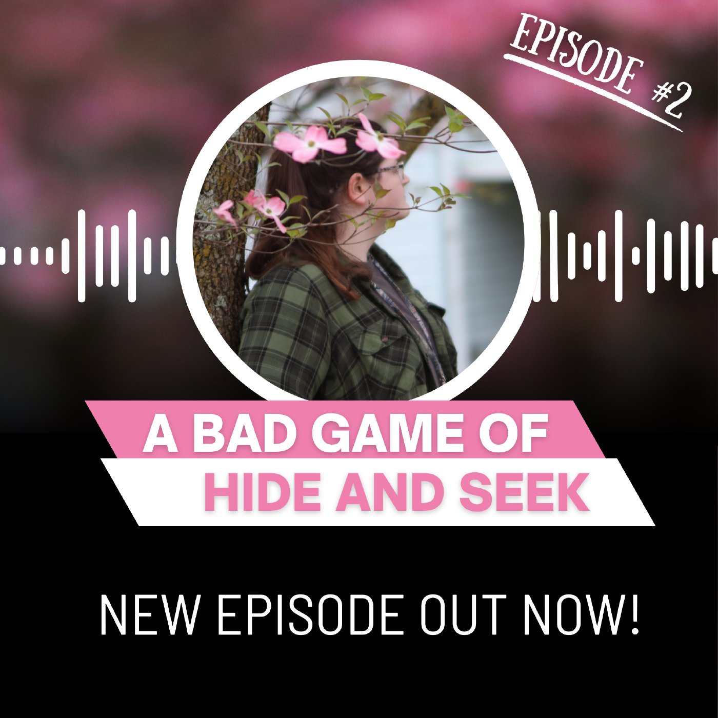 A Bad Game of Hide and Seek Episode 2 episode artwork