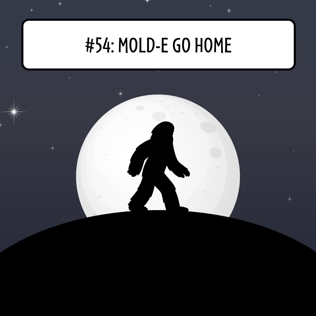 Greybobby Bedtime Devotionals for Kids