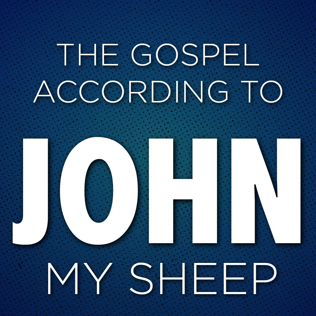 My Sheep episode artwork