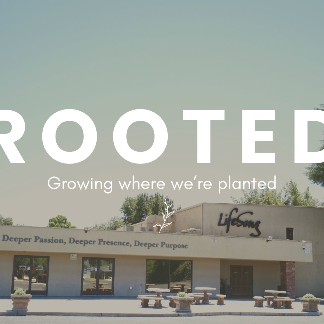 Rooted episode artwork