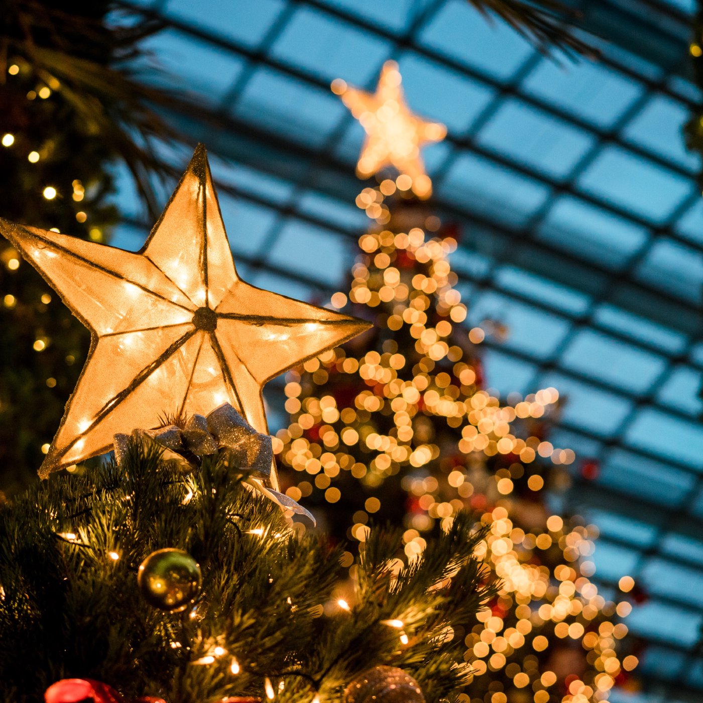 What is Christmas? episode artwork