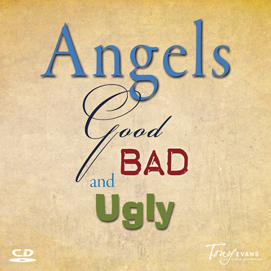 The Existence of Angels