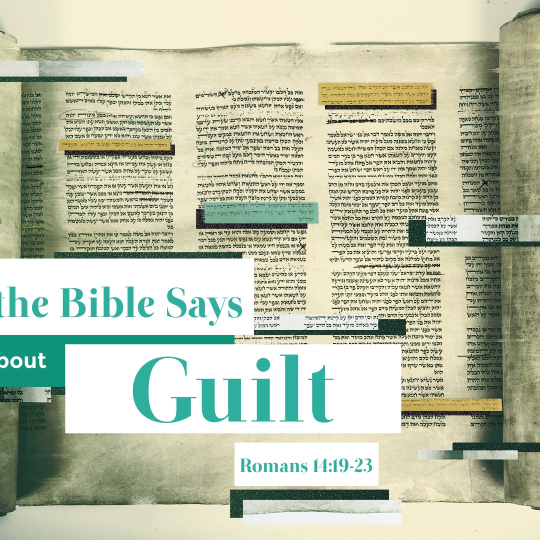 Trinity Fellowship Friendswood, TX