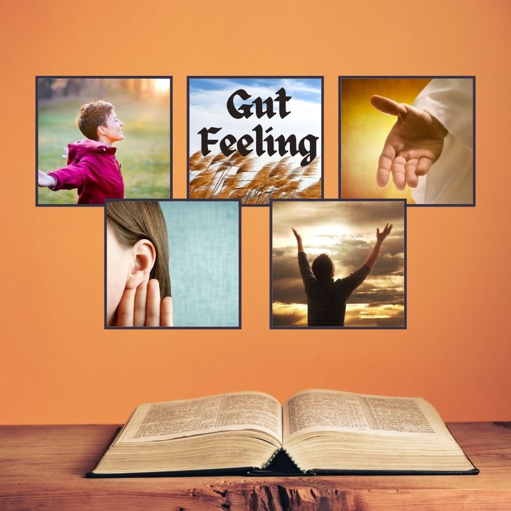 Gut Feeling episode artwork