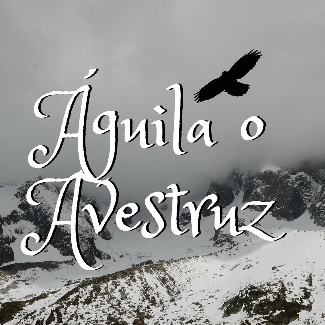 ¿Águilas o avestruces? episode artwork
