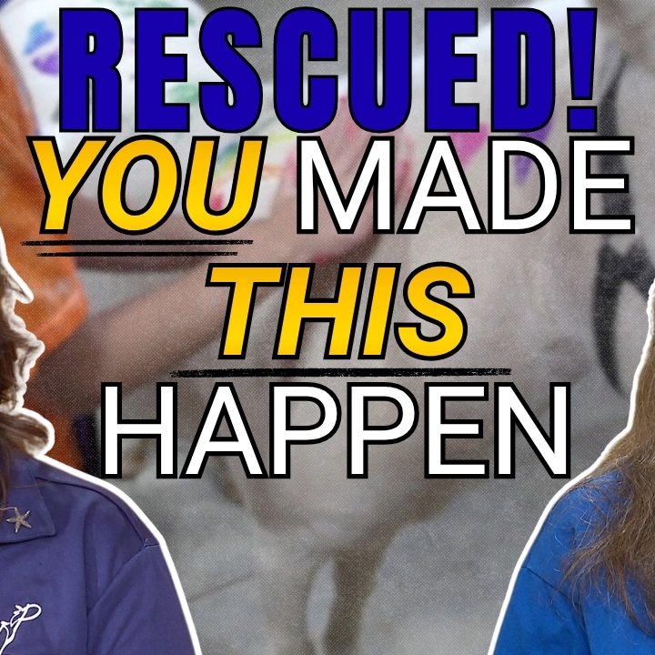 Rescued! You Made This Happen. episode artwork