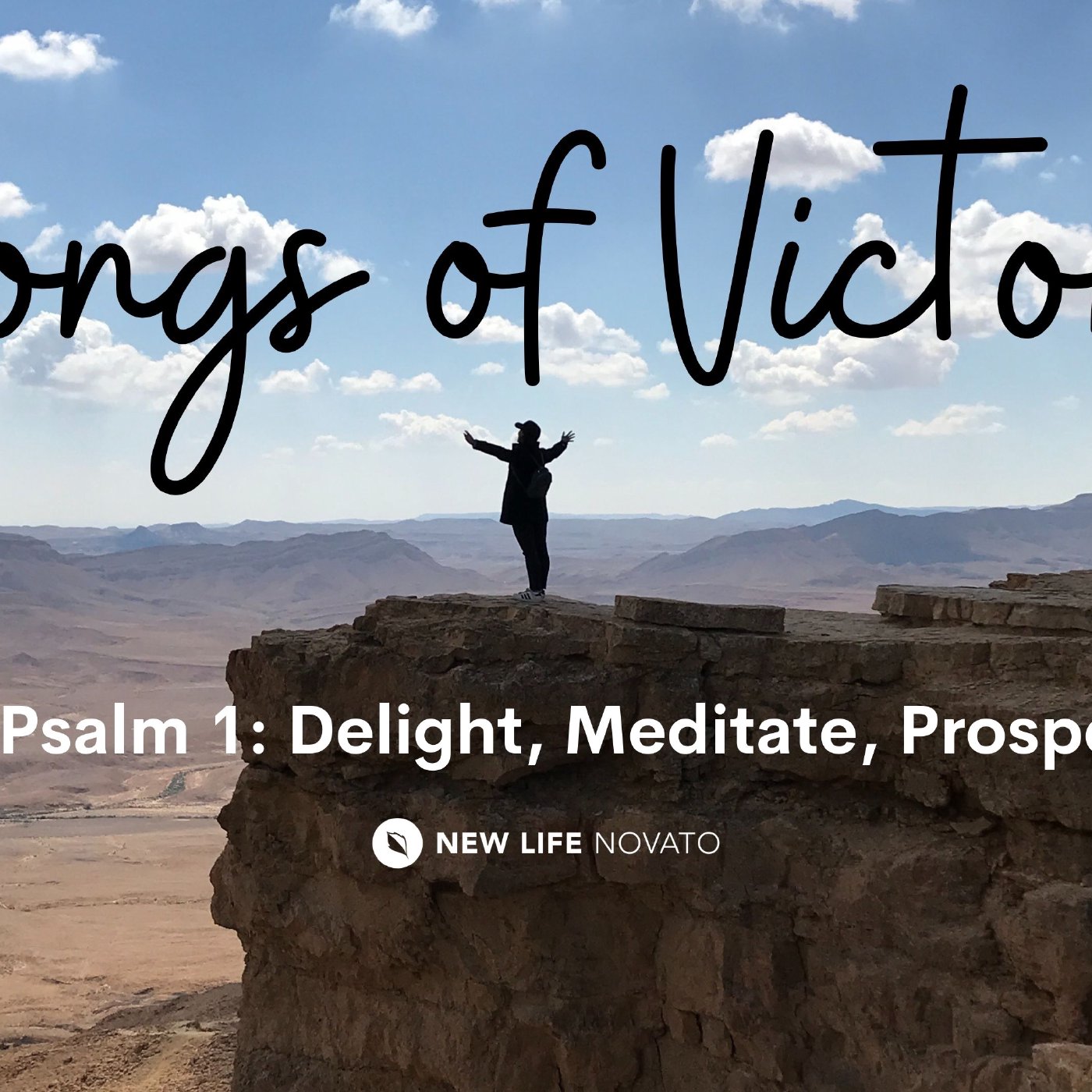 Delight, Meditate, and Prosper - Songs of Victory Part 1