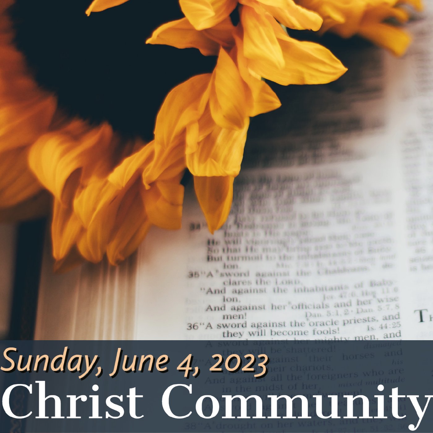 Christ Community Gainesville