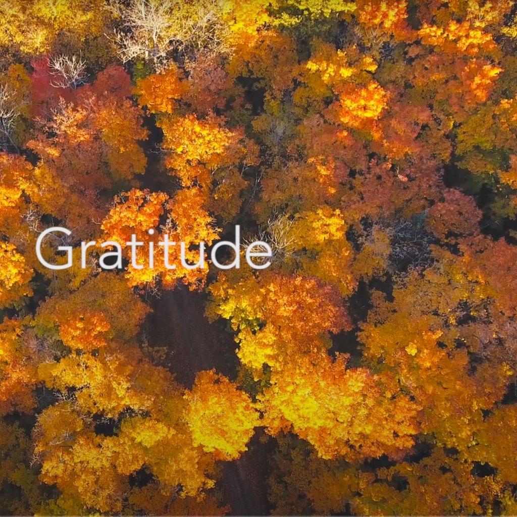 Gratitude episode artwork