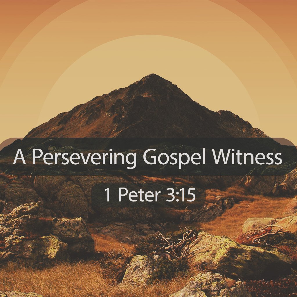 A Persevering Gospel Witness episode artwork