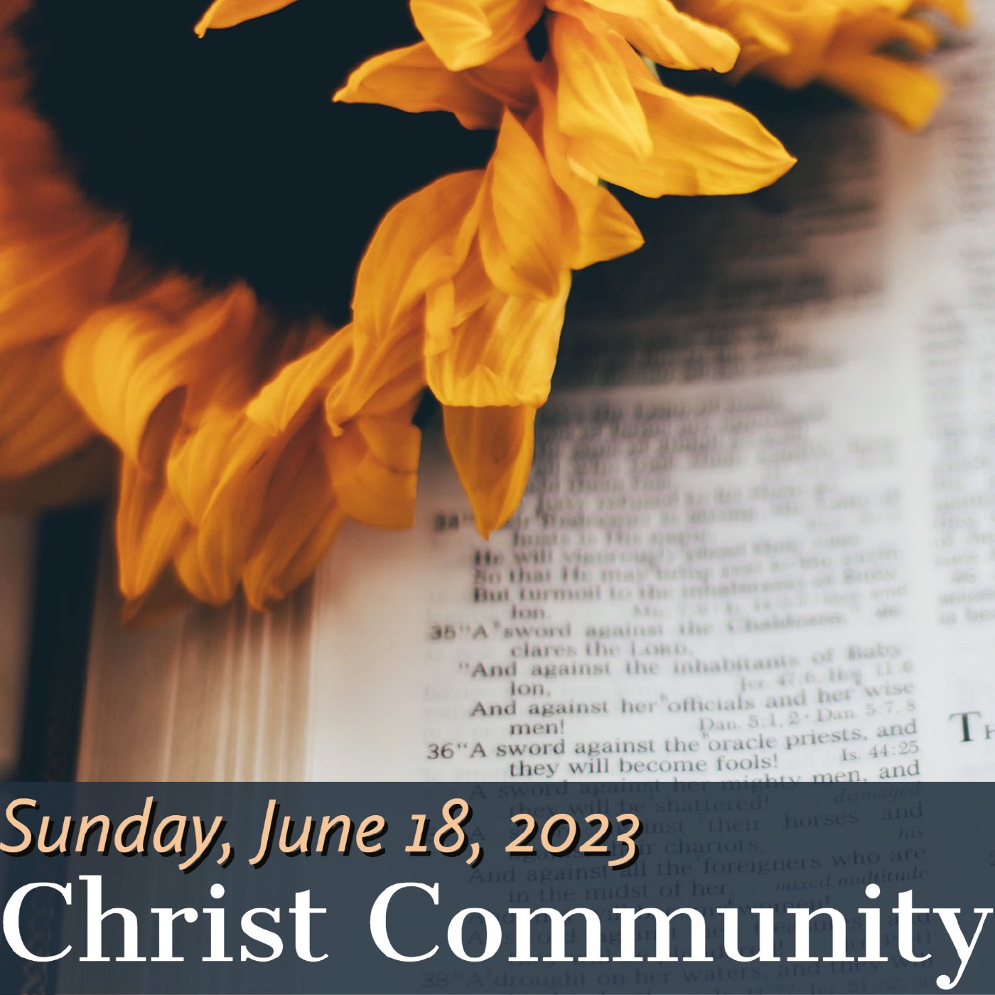 Christ Community Gainesville
