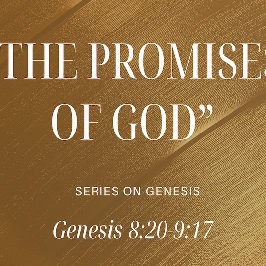 Genesis 8:20-9:17 - "The Promises of God" - January 19 2025 episode artwork