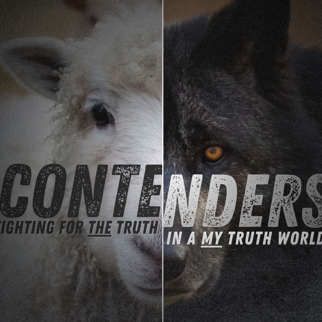 Contenders - Week 4