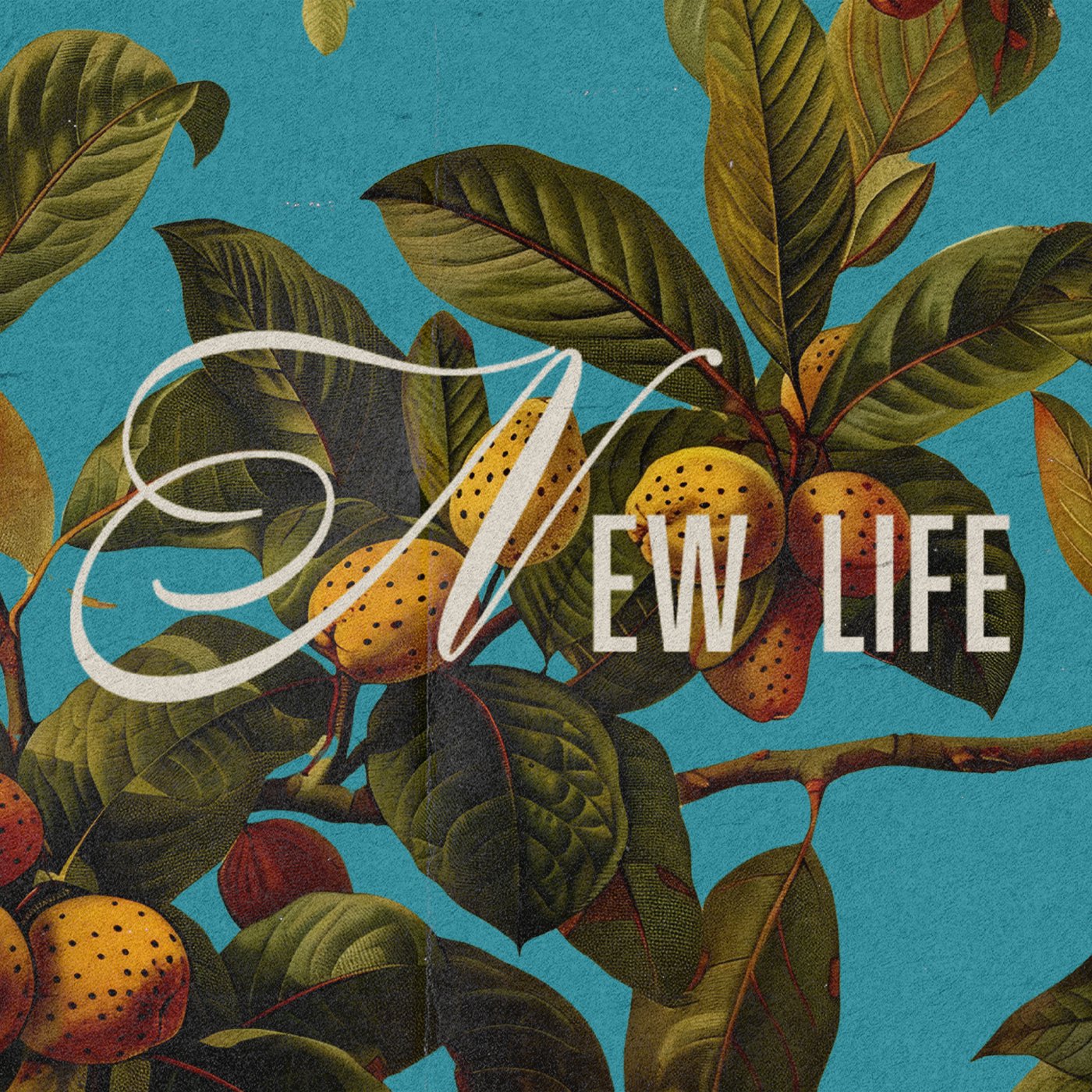 New Birth: Where New Life Starts episode artwork