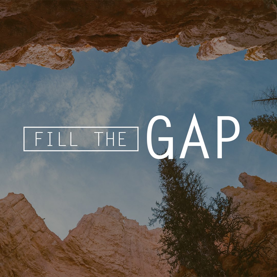 Fill the Gap