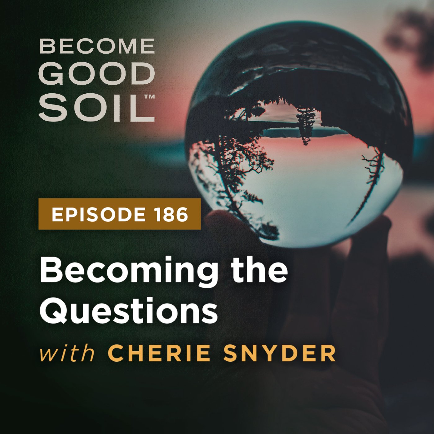 Become Good Soil