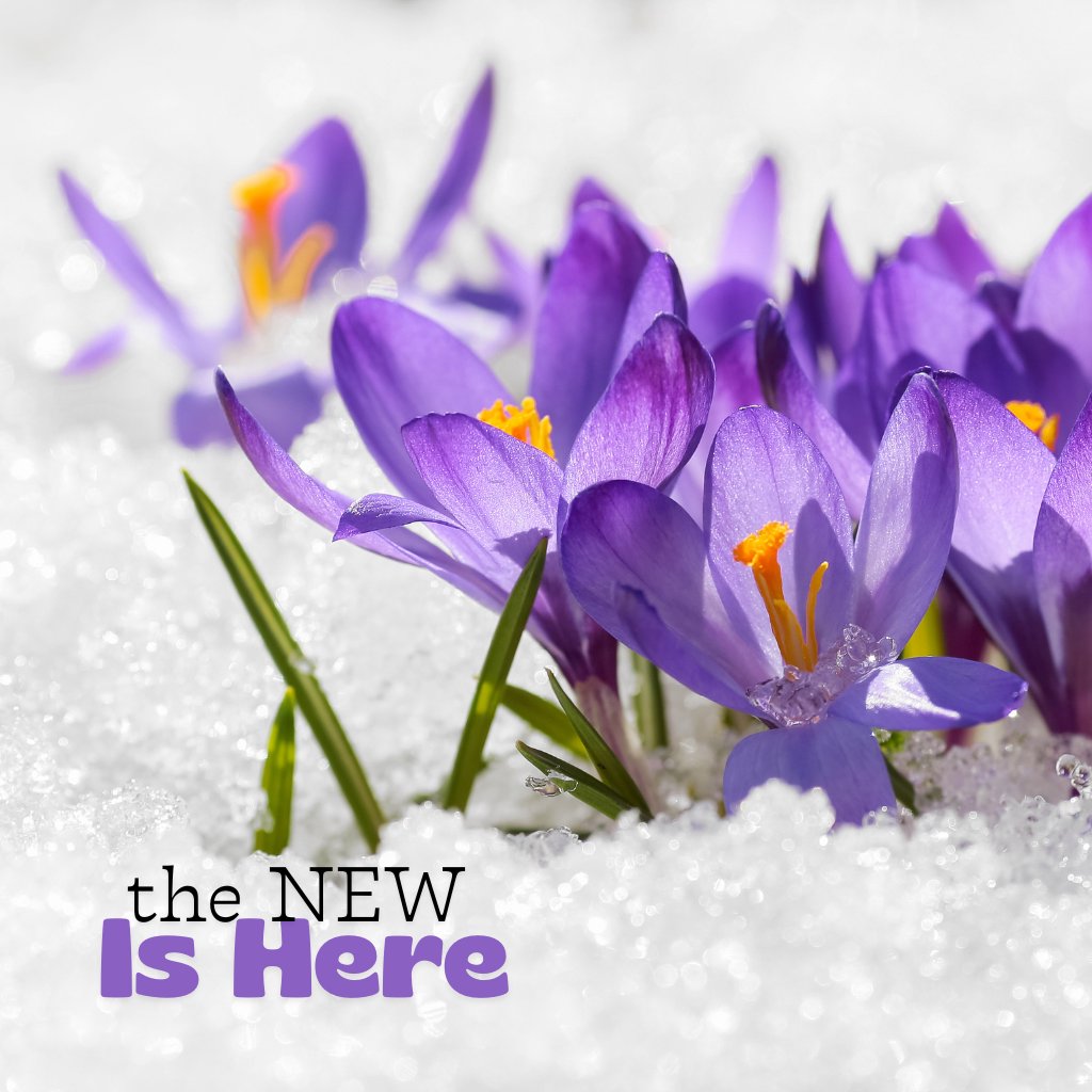 The New Is Here