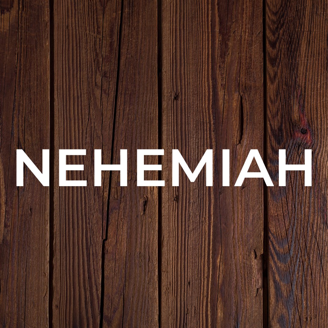 Nehemiah 9-11 episode artwork