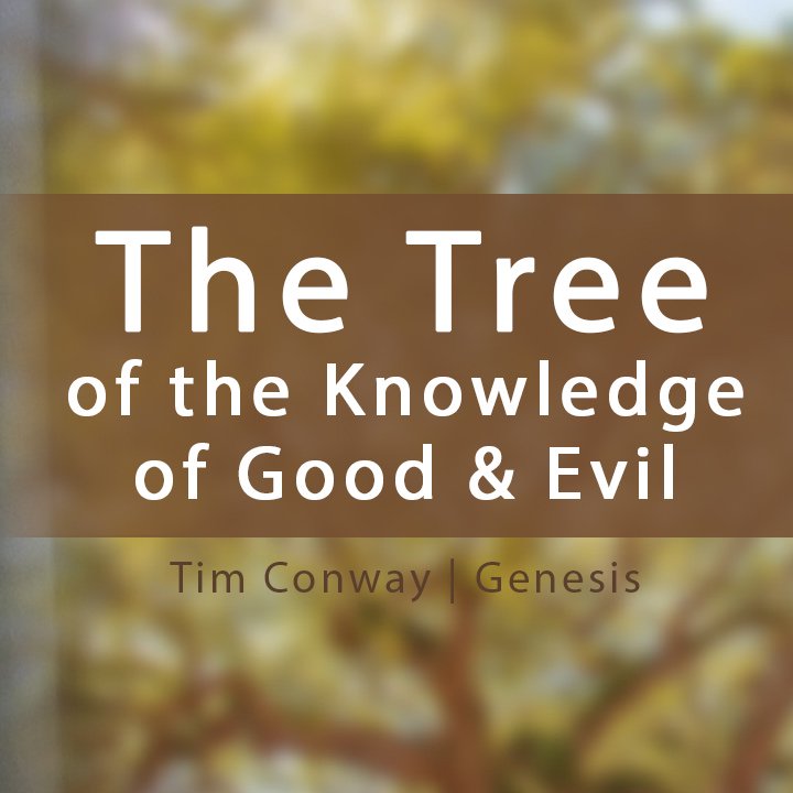 The Tree of the Knowledge of Good and Evil episode artwork