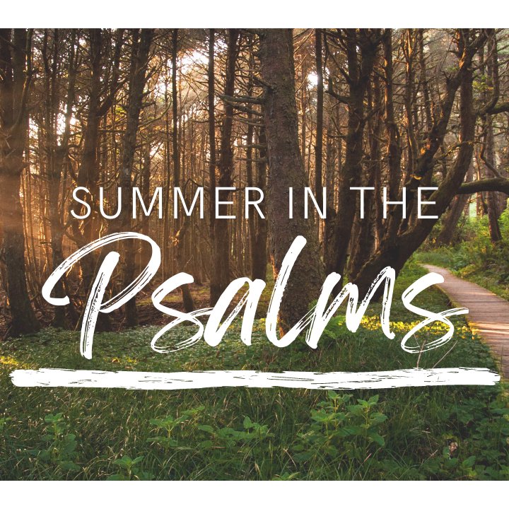 Summer in the Psalms Pt 2: A Psalm for the Anxious episode artwork