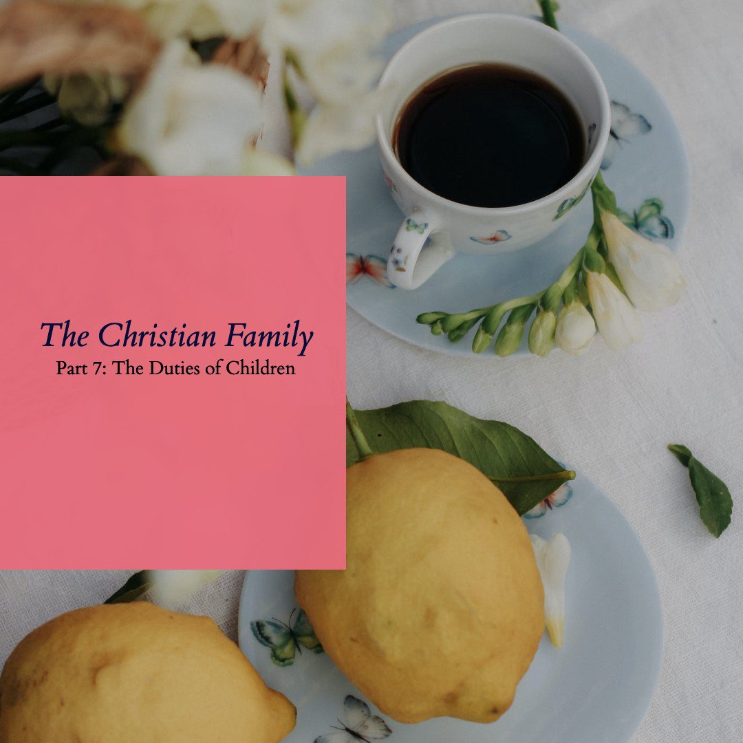 Part 7 - The Duties of Children (Ephesians 6:1-4) episode artwork