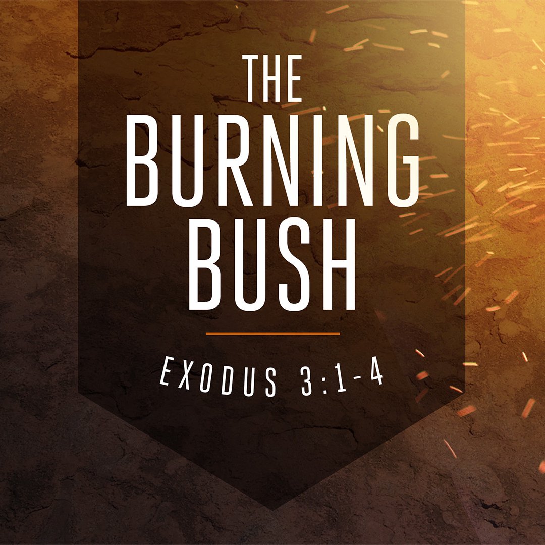 The Burning Bush episode artwork