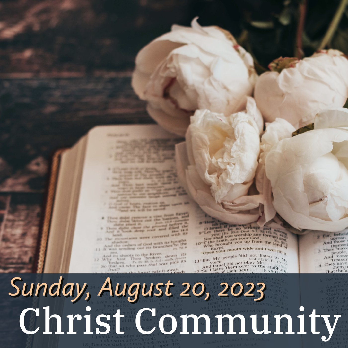 Christ Community Gainesville