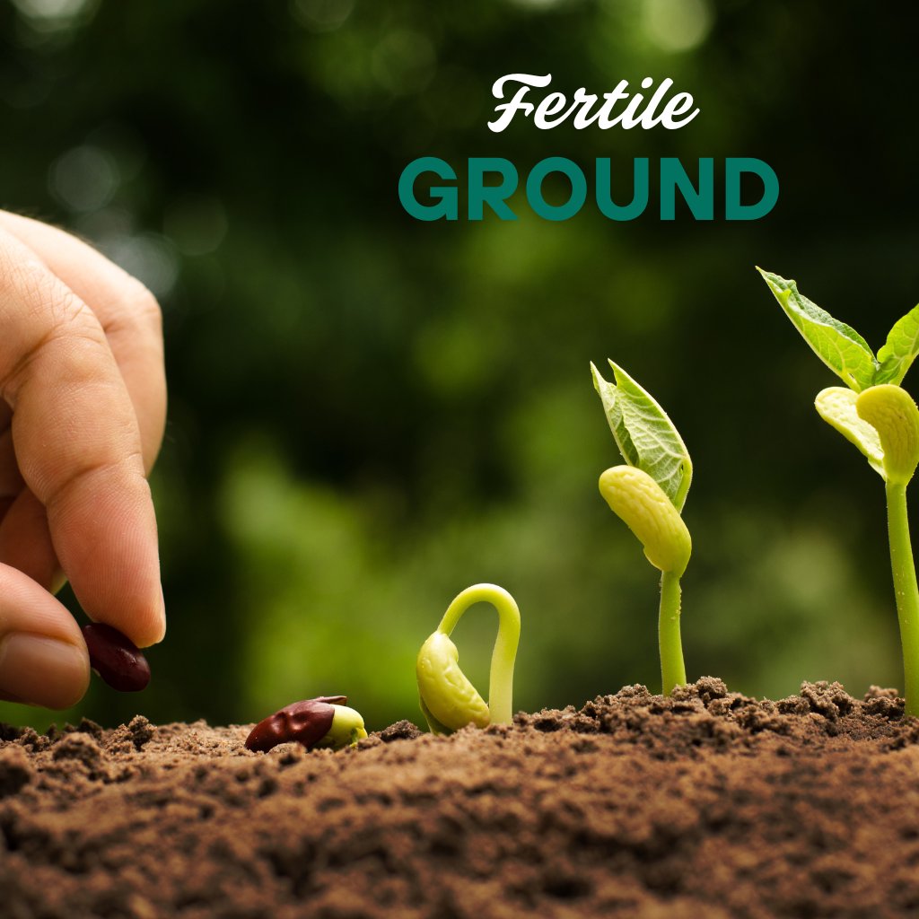 Fertile Ground