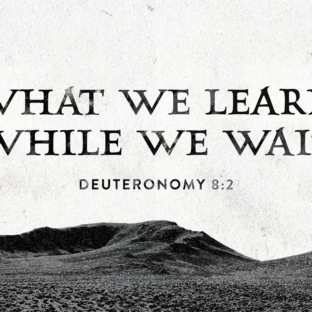 What We Learn While We Wait episode artwork