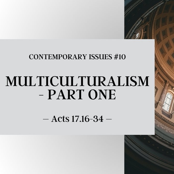 Multiculturalism - Part One | Contemporary Issues #10 episode artwork
