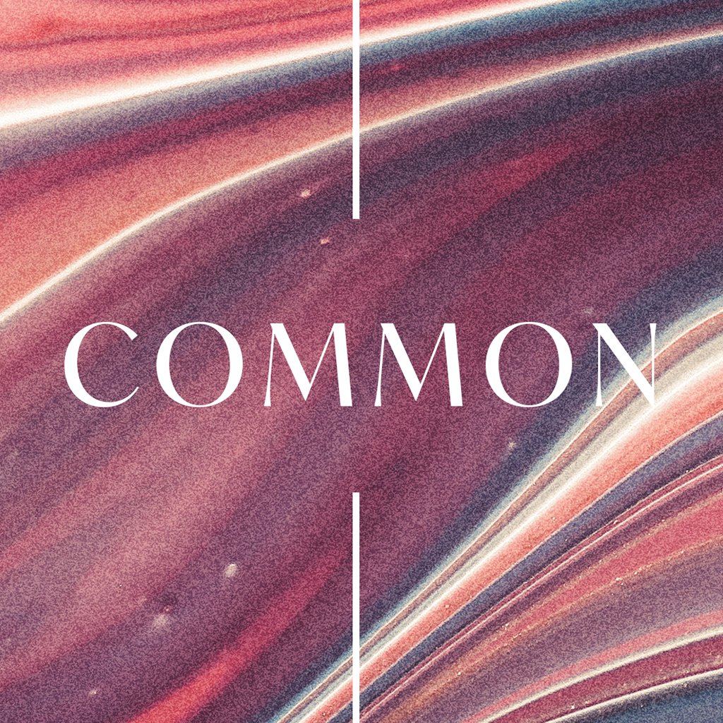 Common episode artwork