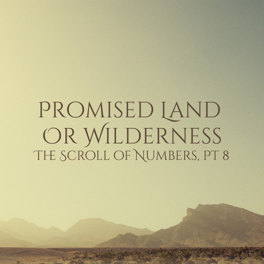 Promised Land or Wilderness