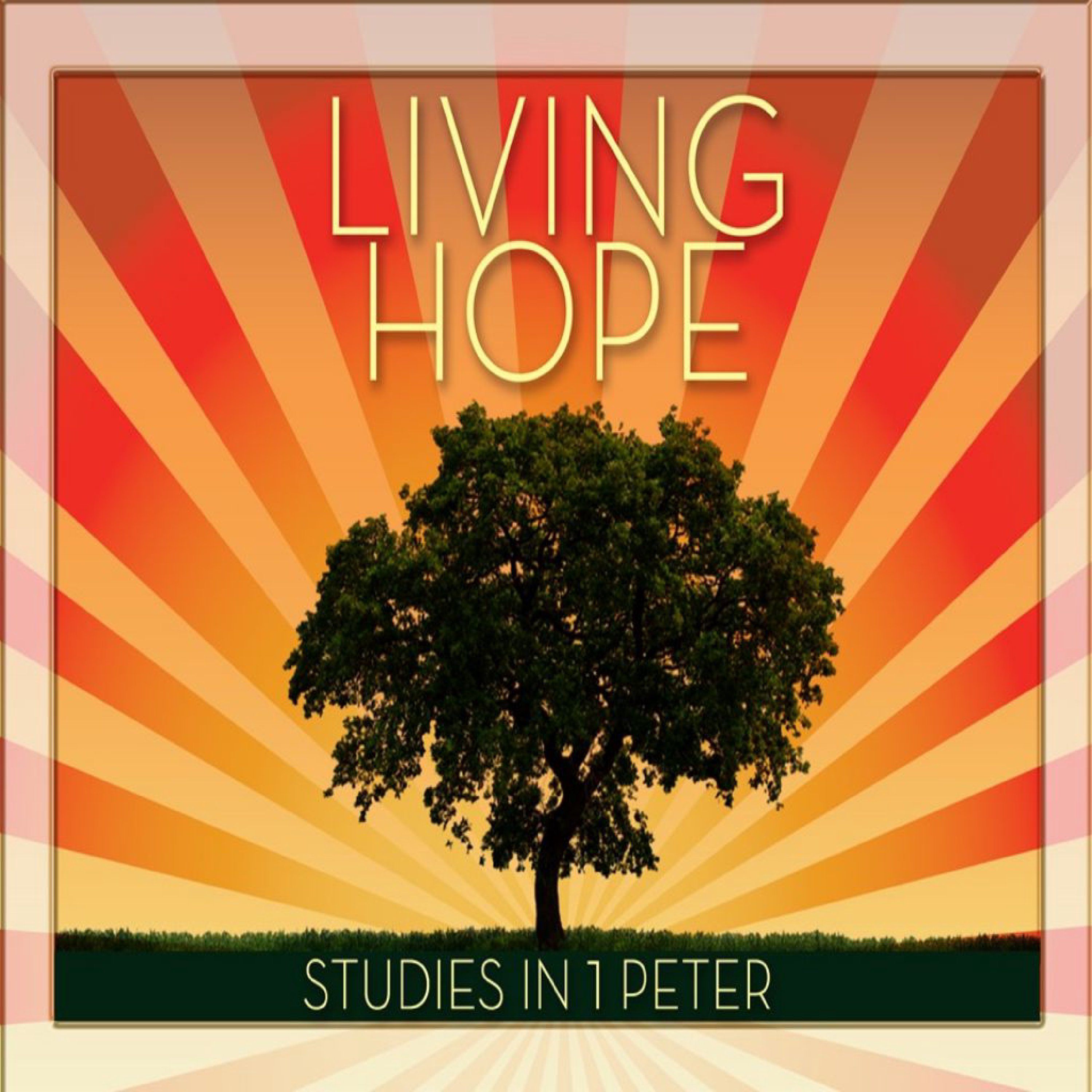 Table Rock Fellowship Series: 1 Peter