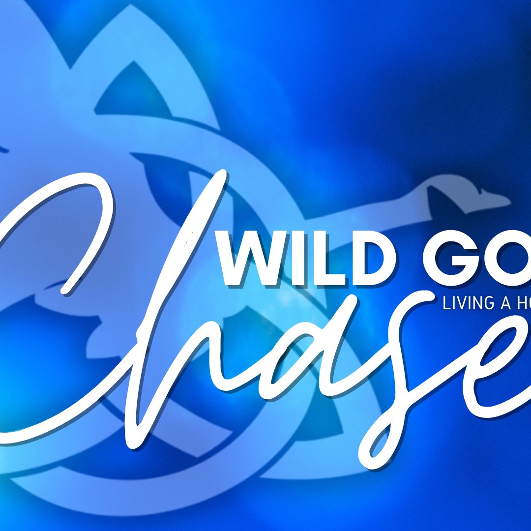 Wild Goose Chase - Living With Purpose