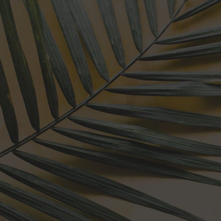 The Way of Devotion // Covenant Renewal