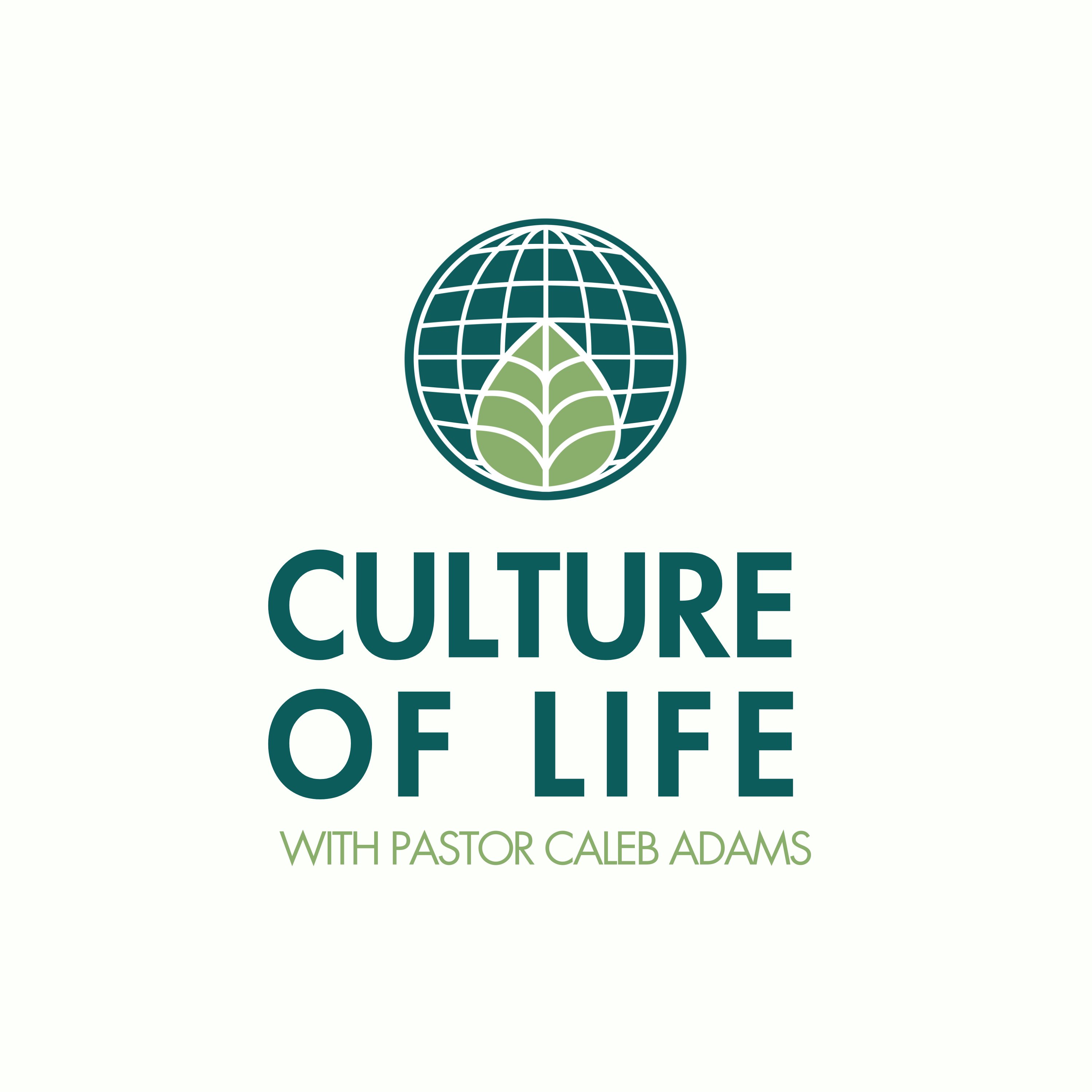 Culture of Life Artwork