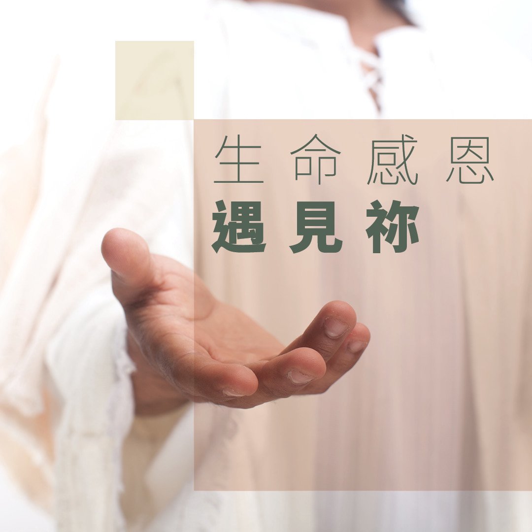 婚宴奇遇 episode artwork