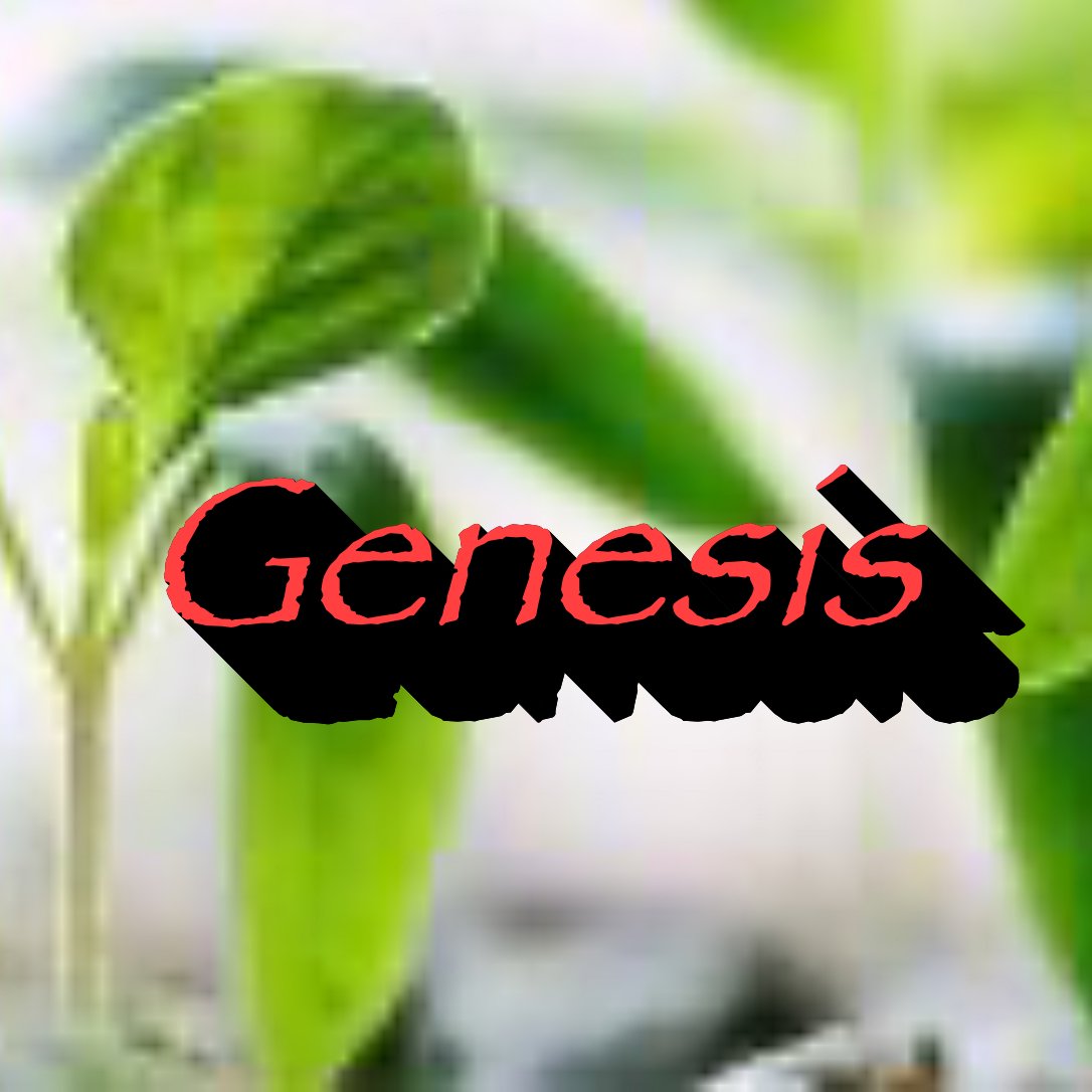 Genesis 34-35