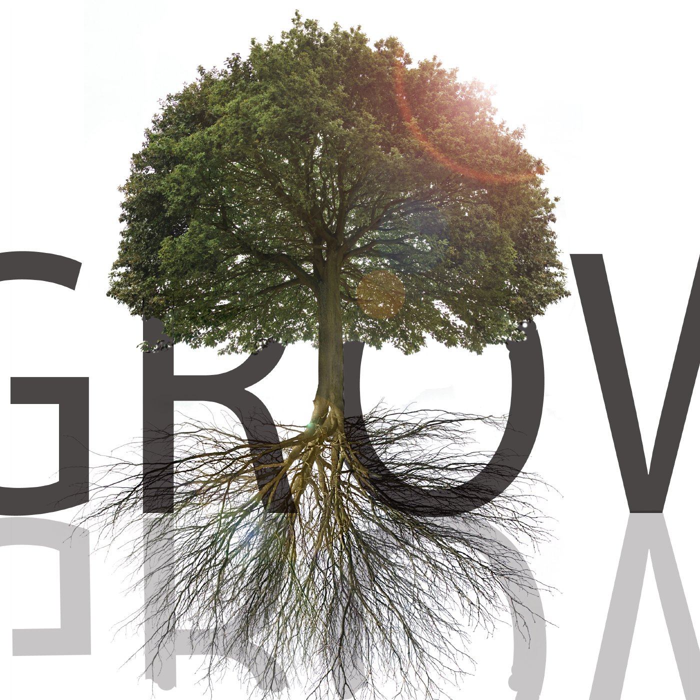 Sunday Sermons at Cornerstone Church, Mandeville