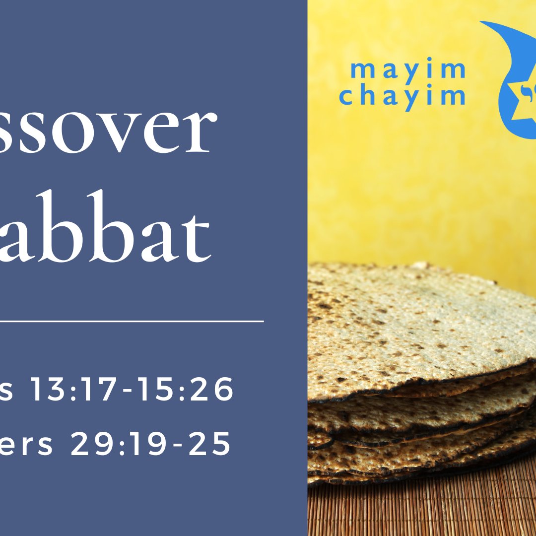CMC Pesach Shabbat 5785 episode artwork