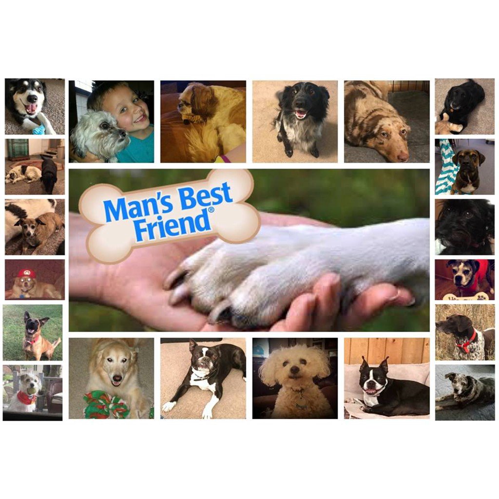 02-04-18: Man's Best Friend episode artwork