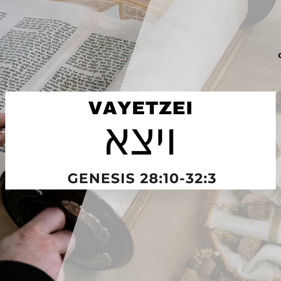 CMC Parasha Vayetzei 5786