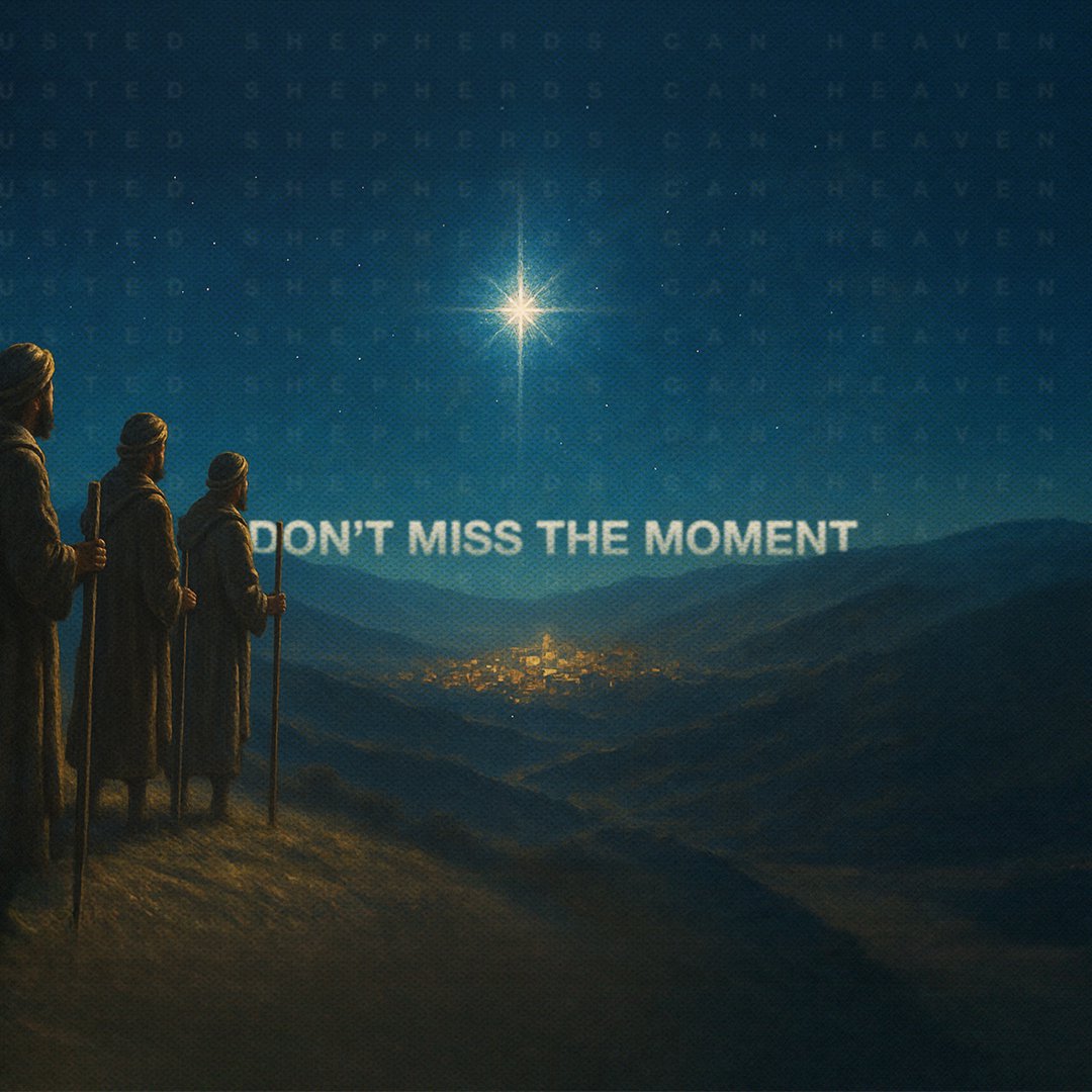 Don't Miss The Moment