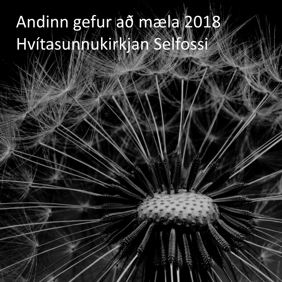 Selfossgospel