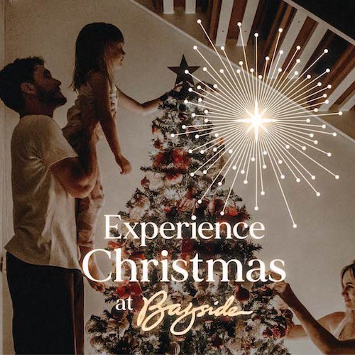 The Other Christmas Baby episode artwork