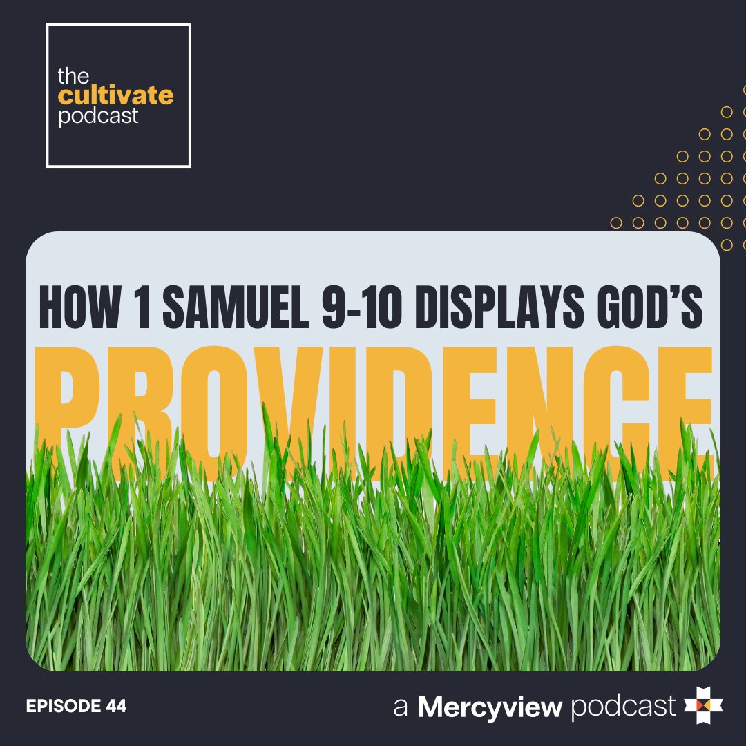 44 God's Providence in 1 Samuel 9-10