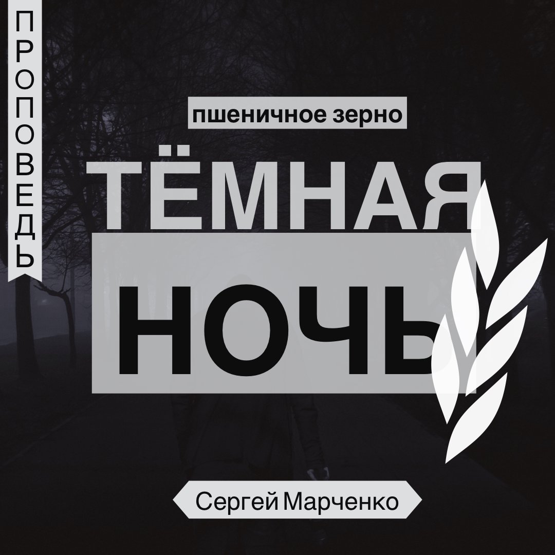 Тёмная ночь/Пшеничное зерно 🌾