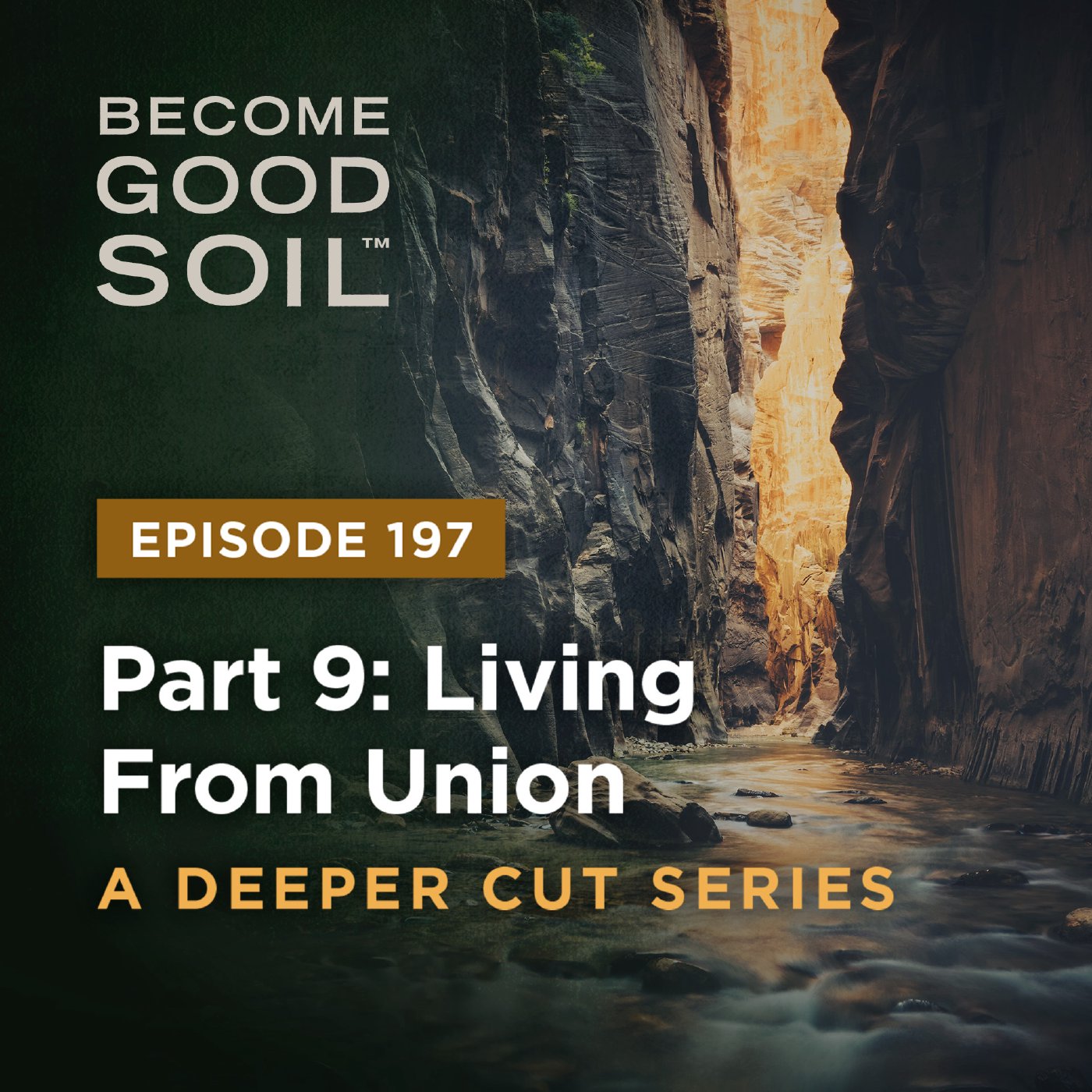 197: Living From Union – A Deeper Cut Series (Part 9)