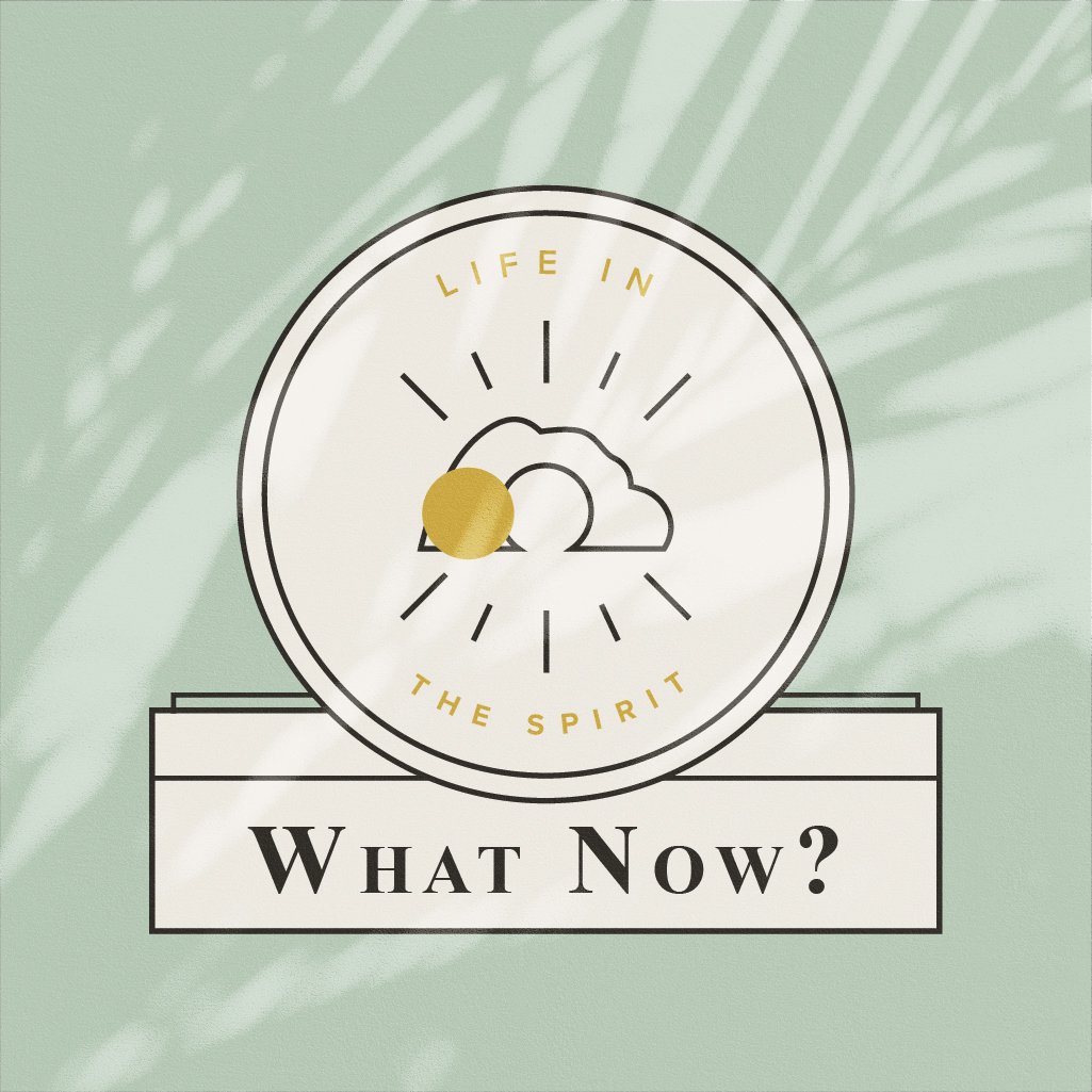 The Church is the Example episode artwork